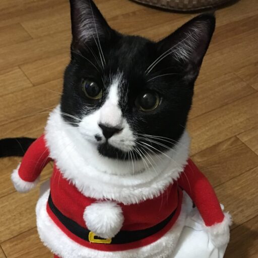 バル